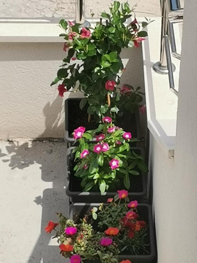 טוצפי Apartment Lijana Sea View מראה חיצוני תמונה